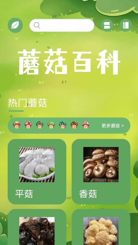 Oilacarto免费版