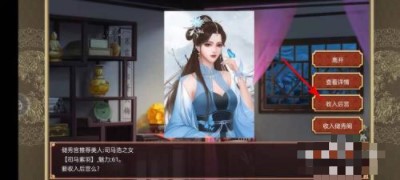 皇帝成长计划2近臣攻略图片2