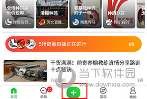 中国信鸽信息网怎么上传视频