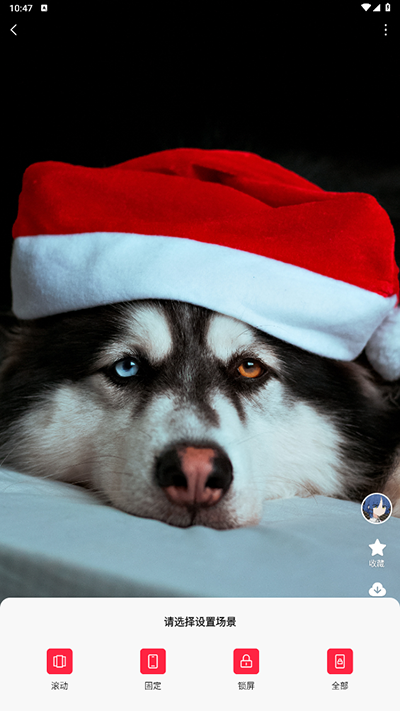 汽水壁纸app最新版本