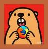 土拨鼠大屏浏览器app官方版