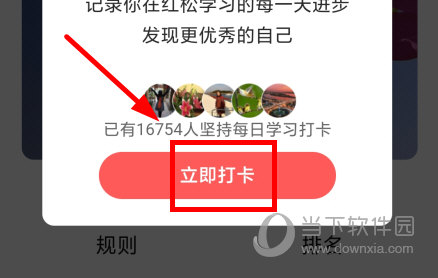 红松app