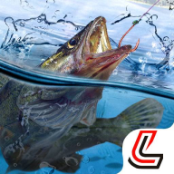 天天钓鱼手机版下载 v1.9