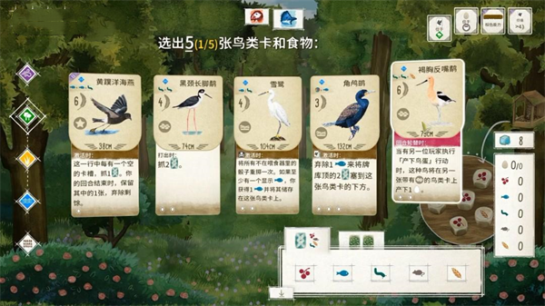 展翅翱翔桌游