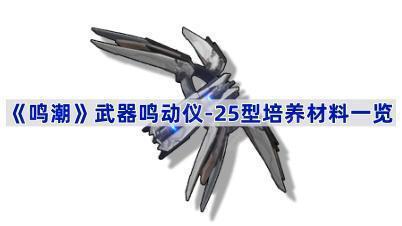 -25ʲô--25һ