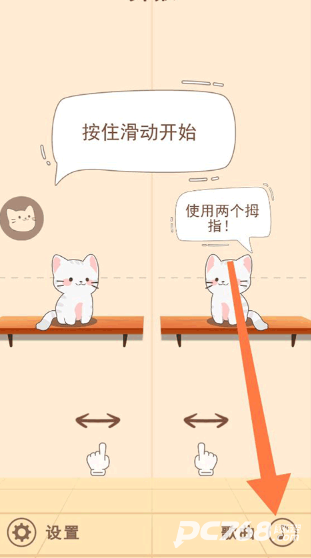 猫咪二重奏