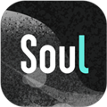 soul2024版