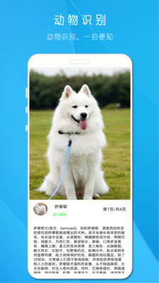 拍照识万物APP v1.818安卓版