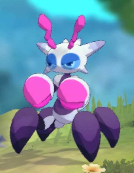 卡米的旅途国际服