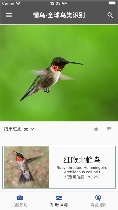 懂鸟app v1.0.17安卓版下载