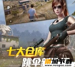 和平精英画质极限解锁器v1.0
