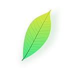 青叶看点视频安卓版v1.0最新版