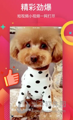 56视频APP