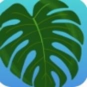 植物疗愈纽约时光游戏下载 v250312.13