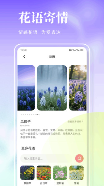 风信子笔记app v1.0.1