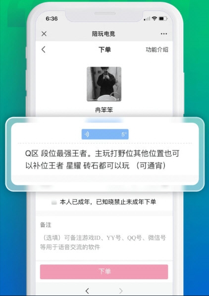 陪玩电竞1
