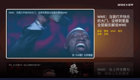 WWE大视界盒子版