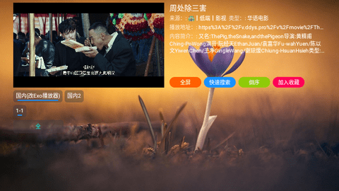 高清TV电视版