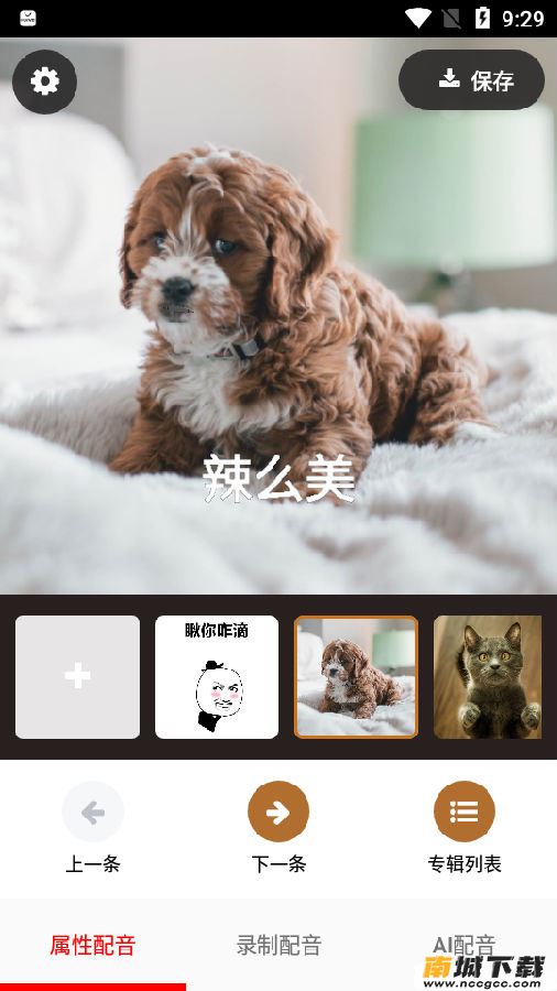 活照片2020