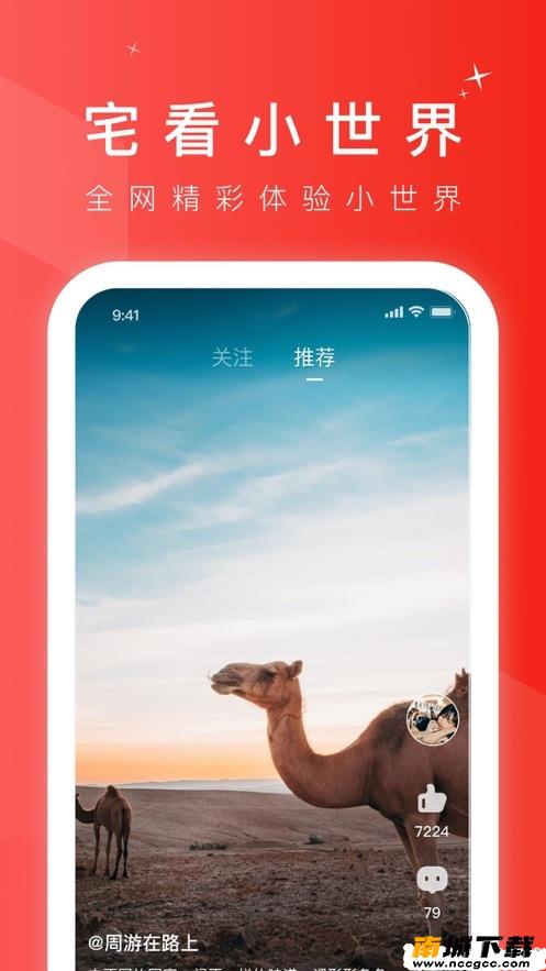 预览图2