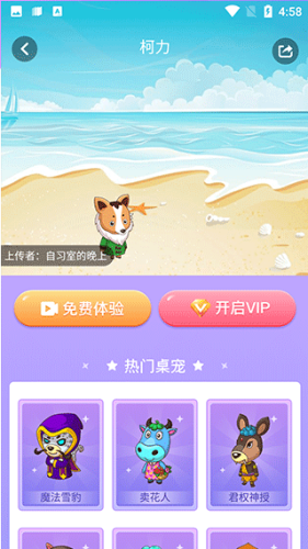 小小桌宠2
