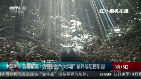UTV2024最新版