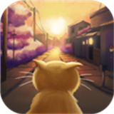 流浪的橘猫侠下载 v1.0