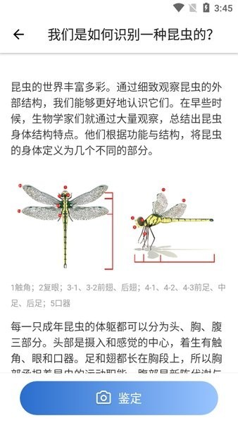 Picture Insect昆虫识别 v2.8.24安卓版下载