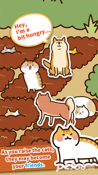 猫咪田园
