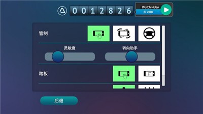 真人汽车驾驶