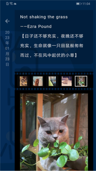 ʱùappv4.12.24