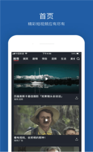 石榴视频纯净版