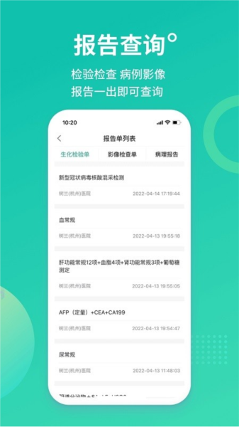 树兰1