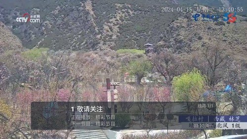 春盈天下电视版截图