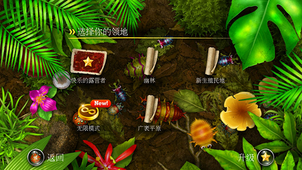 Anthill