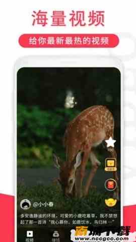 预览图2