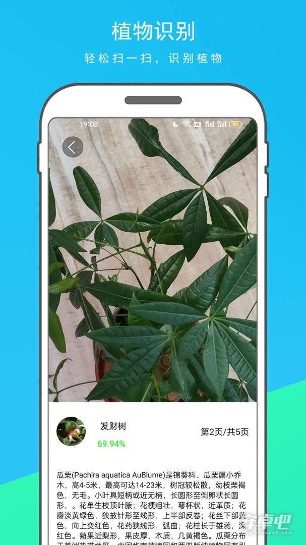 拍图识物最新版截图2