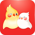 婚前婚后App  V1.3.8下载