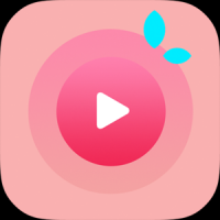 荔枝影视大全观看免费