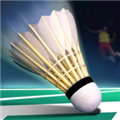 real badminton