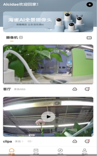 海雀