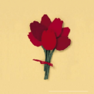 红妆直播平台破解版v2.3