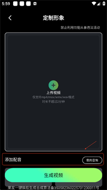 视频特效大师