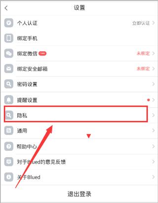 布鲁帝9