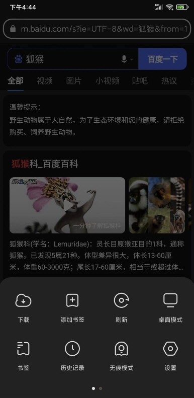 狐猴浏览器2