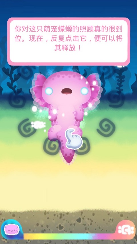 Axolochi