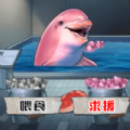 恐怖怪谈解谜 v1.0手游下载