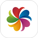 志愿汇app官方下载 