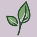 LeviLauncher基岩版光影加载器 v1.0.12