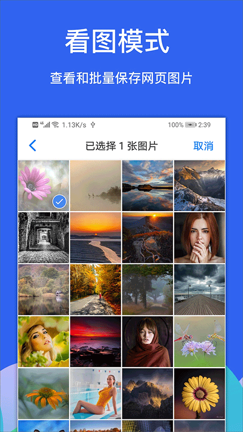 Alook浏览器最新版截图